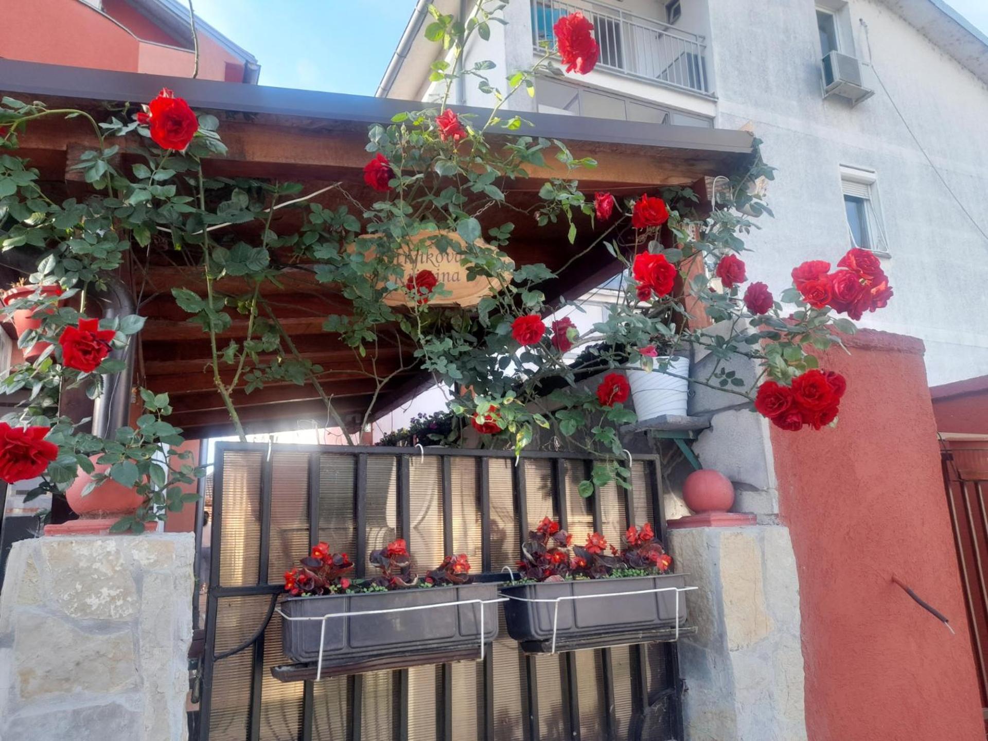 בלגרד Guest House Mirijevski Konak מראה חיצוני תמונה